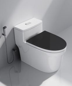 K-8070B BỒN CẦU LIỀN KHỐI