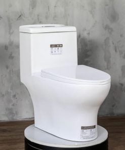 Bồn Cầu Vệ Sinh Nguyên Khối Đẹp