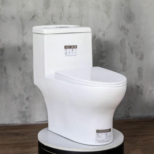 Bồn Cầu Vệ Sinh Nguyên Khối Đẹp